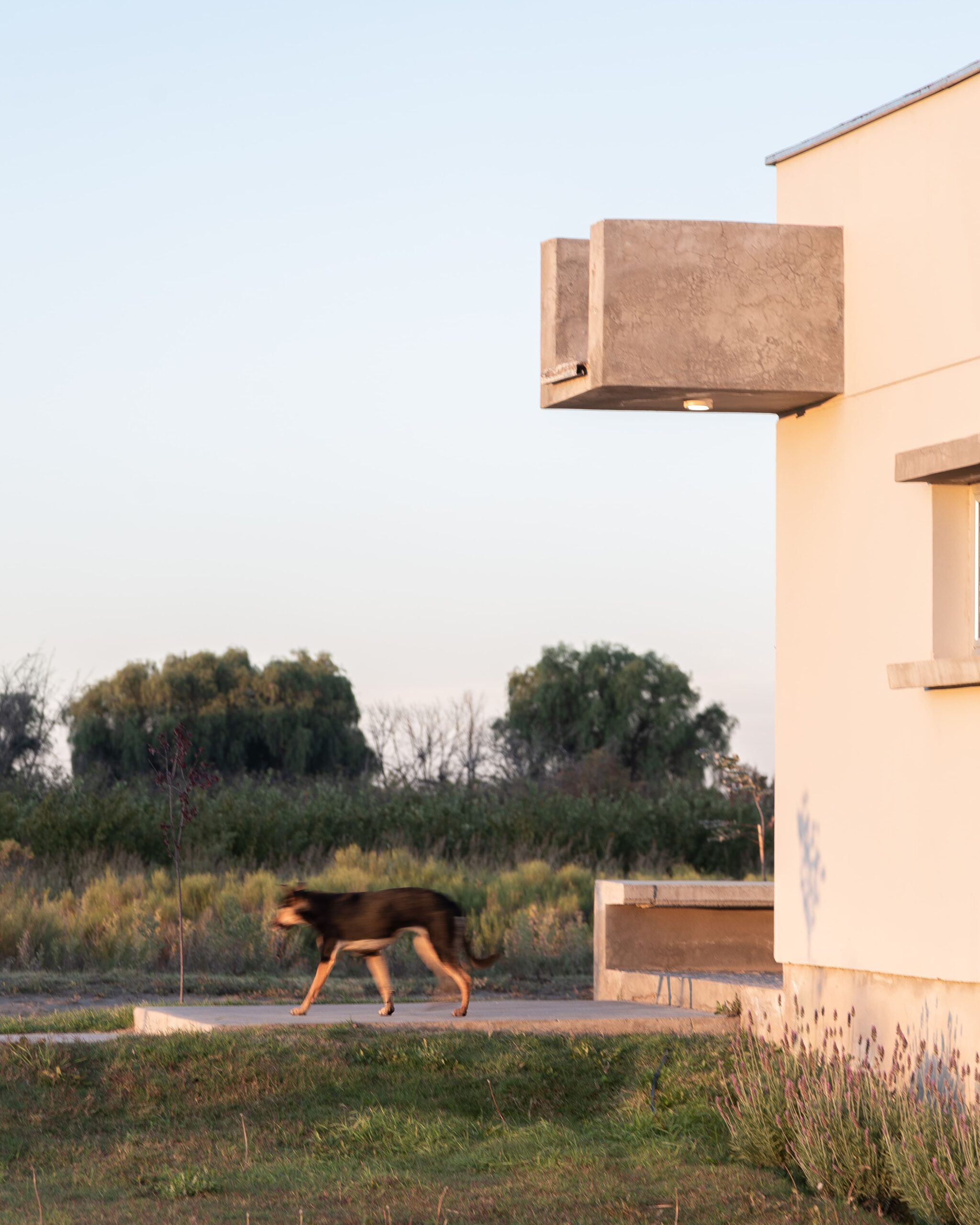 CASA F - imagen 12