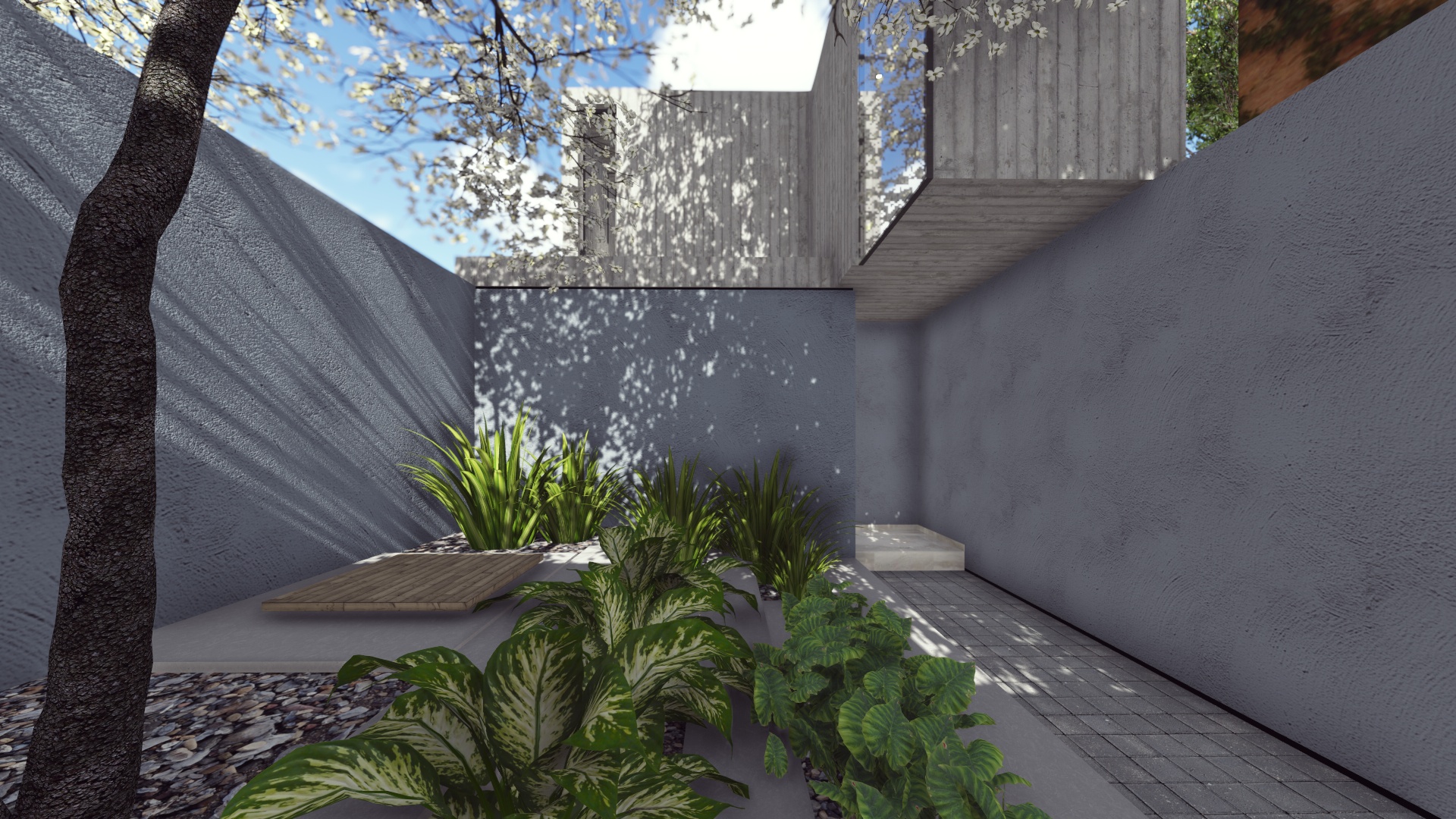 CASA ZEN - imagen 13