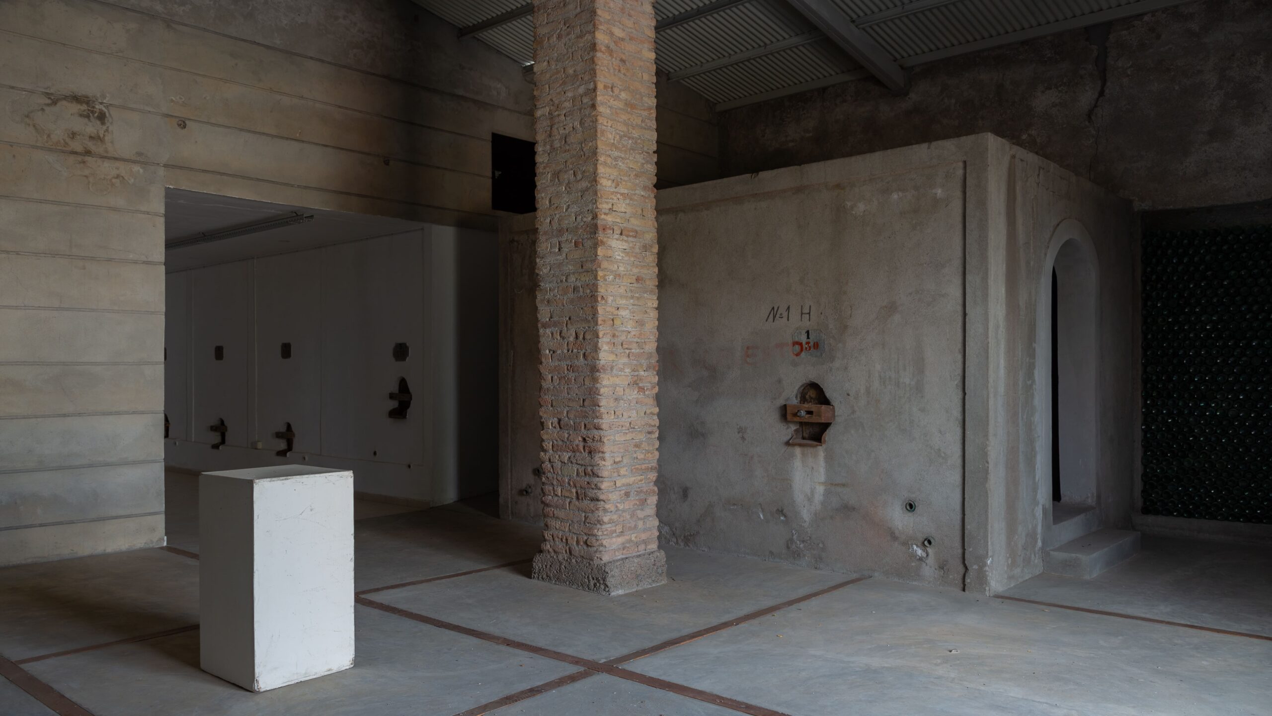 MUSEO MS - imagen 11