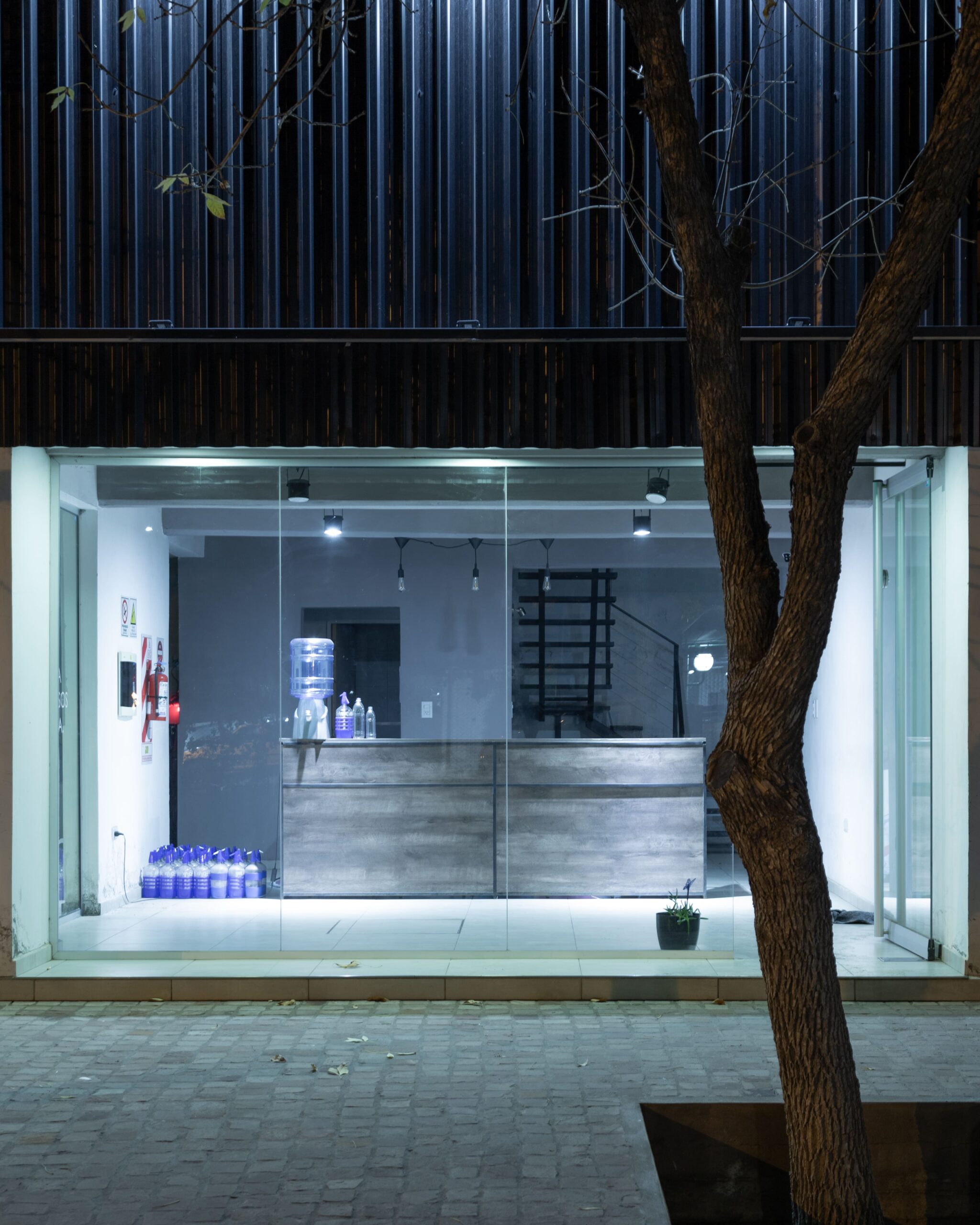 PLANTA MIHOH - imagen 8